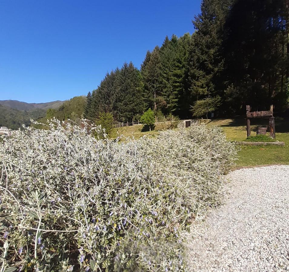 Il Bosco Di Campo Marzano Green & Sky Borzonasca Exterior foto